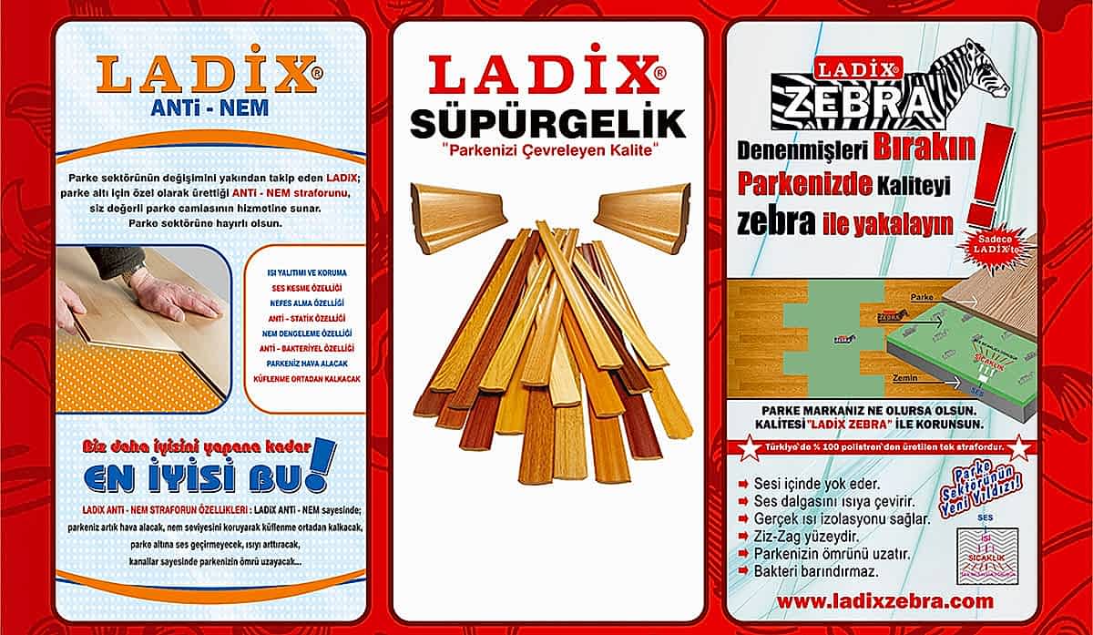 ladix1.jpg