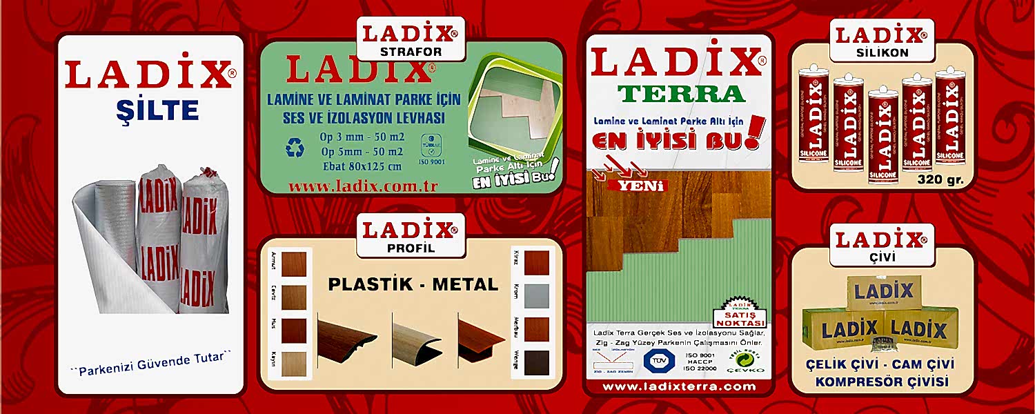 ladix1.jpg